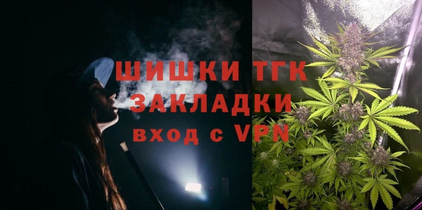 соль ск Арсеньев