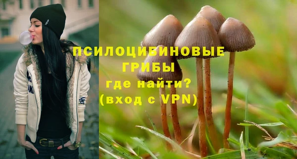 хмурый Баксан