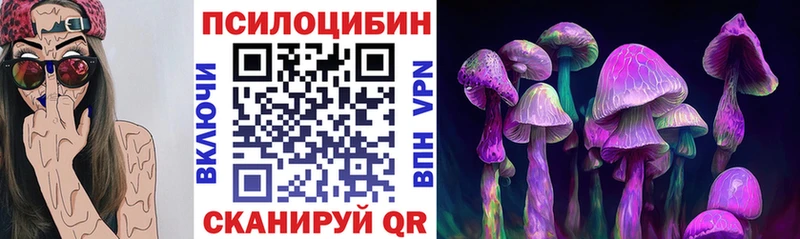 Купить где  Моздок  Псилоцибиновые грибы Psilocybine cubensis 